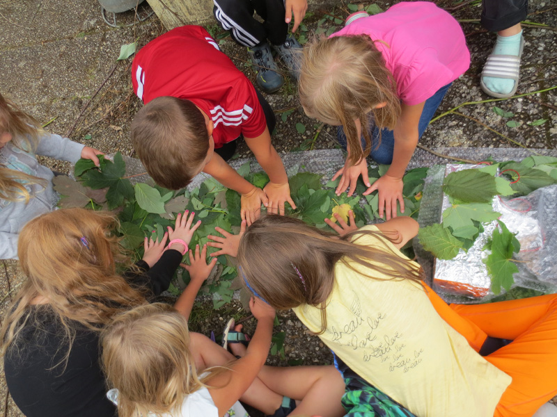 Kinder stehen zusammen und beobachten ein Blatt, das im Mittelpunkt ihrer Aufmerksamkeit steht.