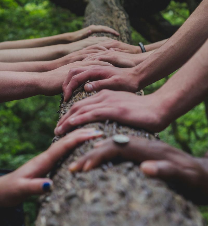 Ausgestreckte Hände, die einen Baum erreichen wollen, stehen für den menschlichen Wunsch nach Natur und Harmonie.