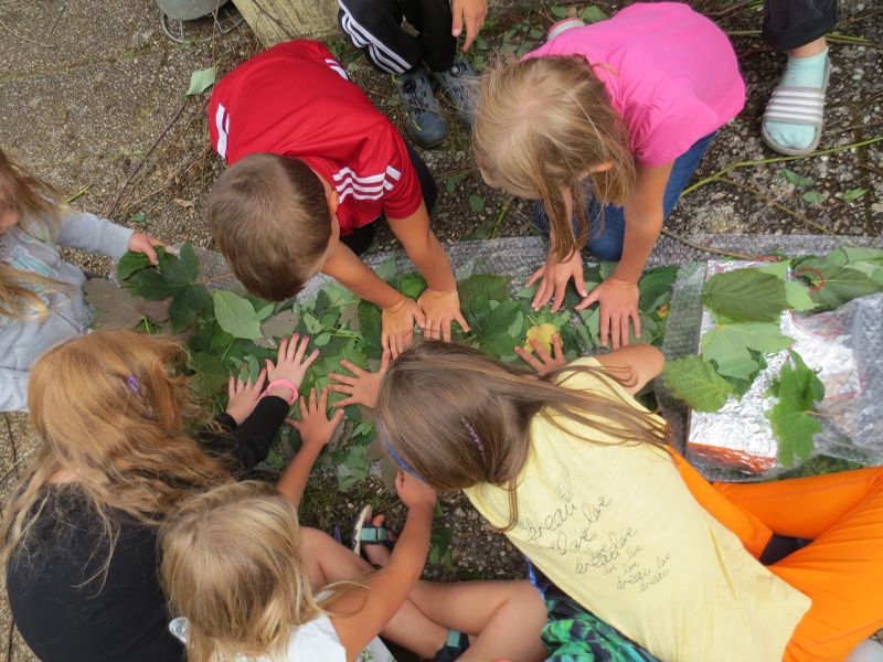 Kinder stehen zusammen und beobachten ein Blatt, das im Mittelpunkt ihrer Aufmerksamkeit steht.
